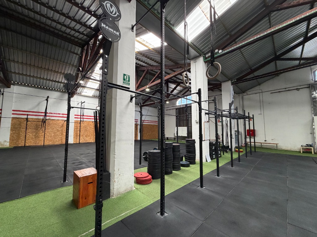 Zona de Calistenia y Anillas